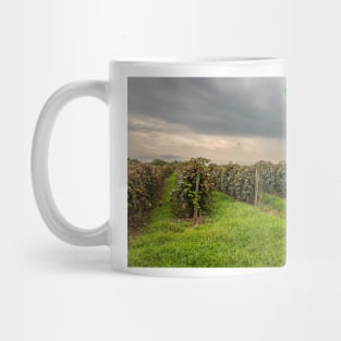 Vineyard on Lake Erie Shoreline Mug